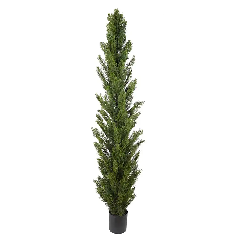 Mr Plant, Sypressipuu 120 cm