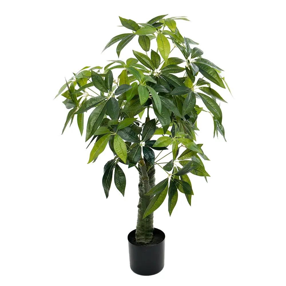 Mr Plant, Pachira Puu 120 cm