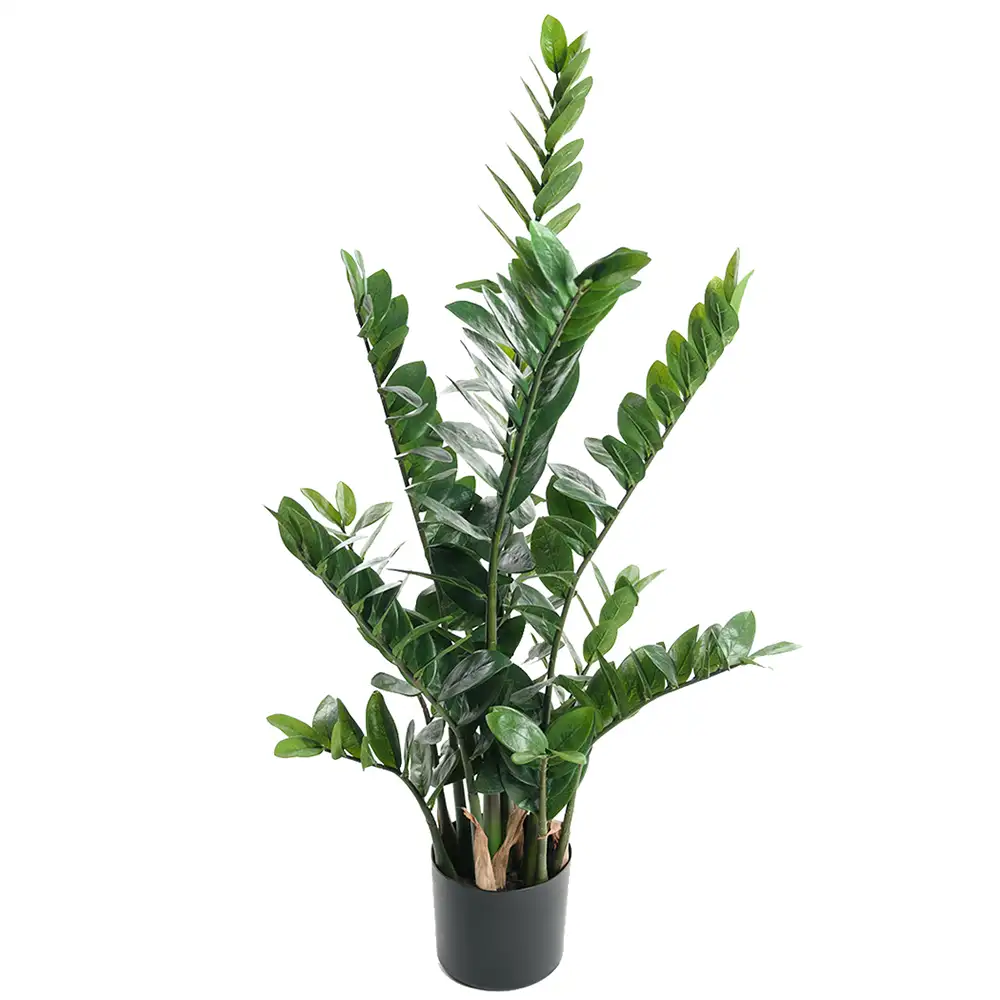 Mr Plant, Zamifolia Huonekasvi 110 cm