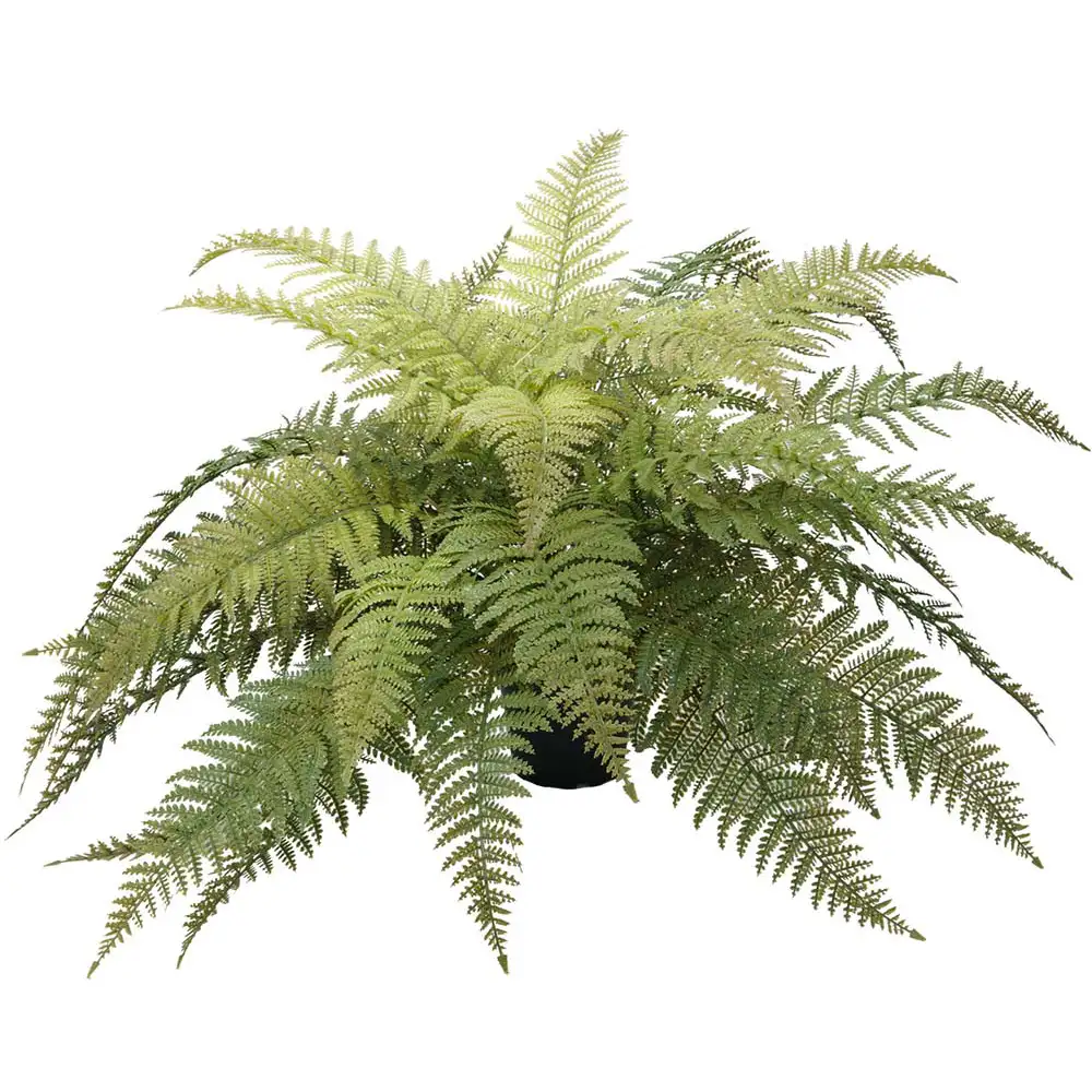 Mr Plant, Saniaiset 45 cm