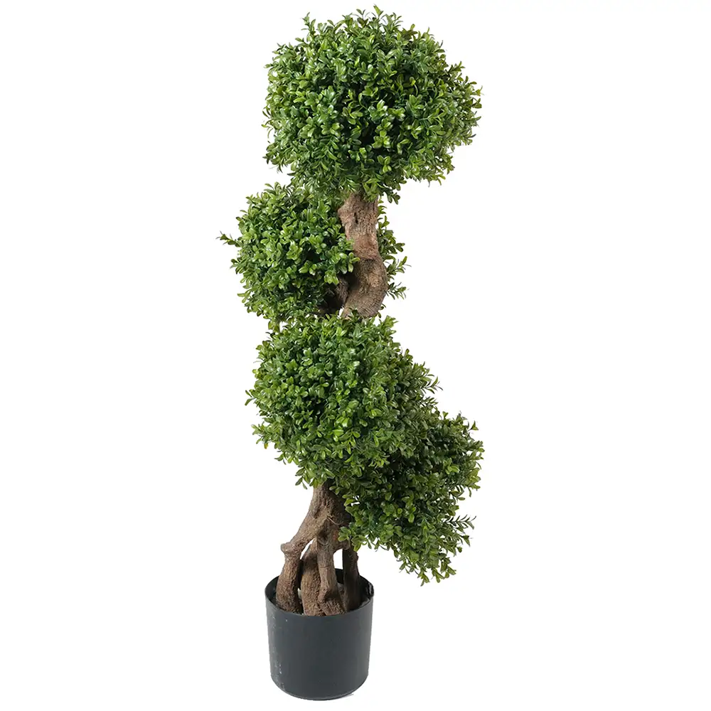 Mr Plant, Buxbom 110 cm