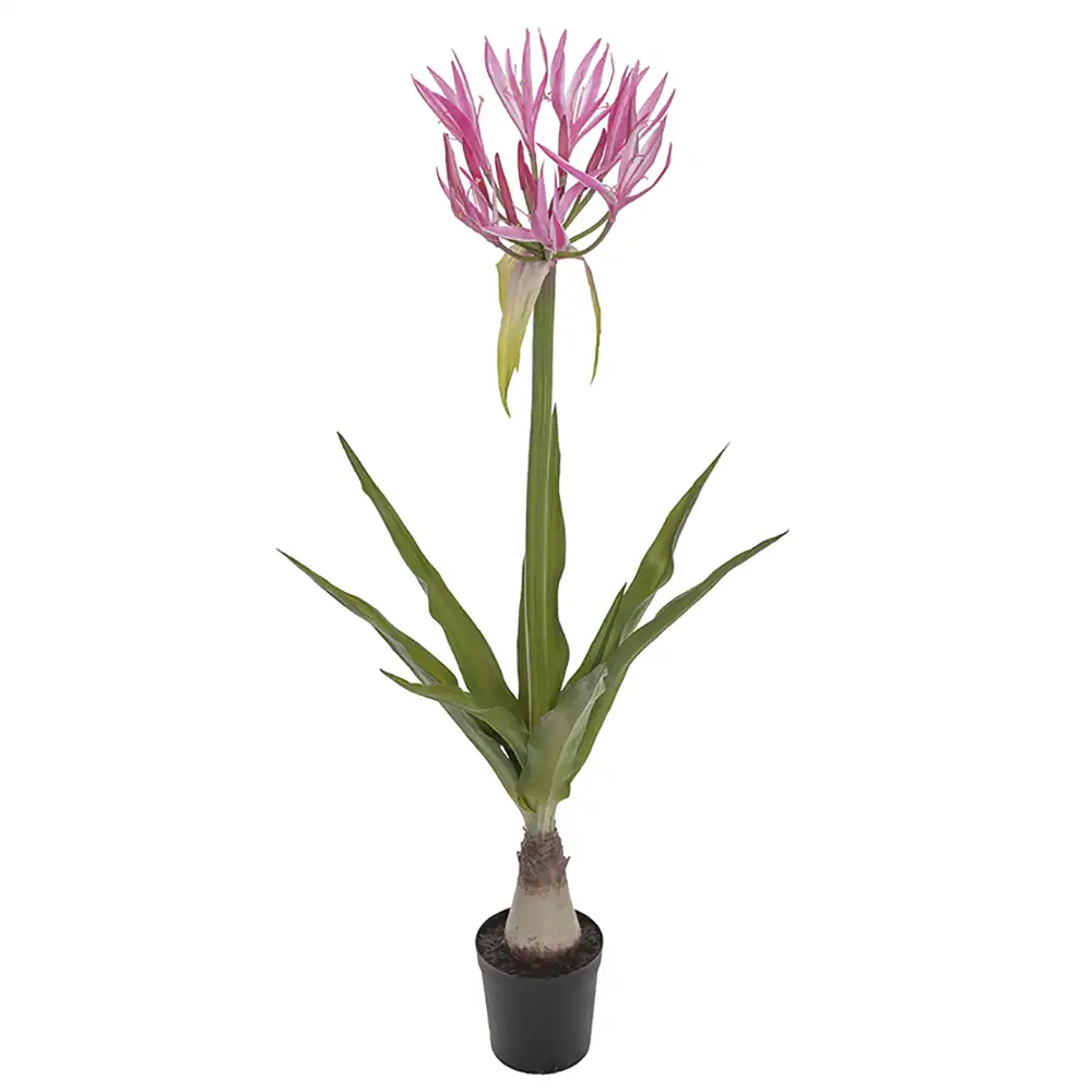 Mr Plant, Nerine Huonekasvi 125 cm Pinkki