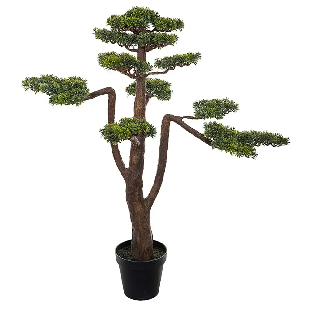 Mr Plant, Bonsai Puu 125 cm