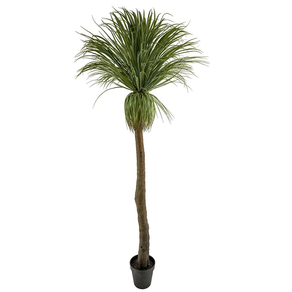 Mr Plant, Pullo lilja 220 cm