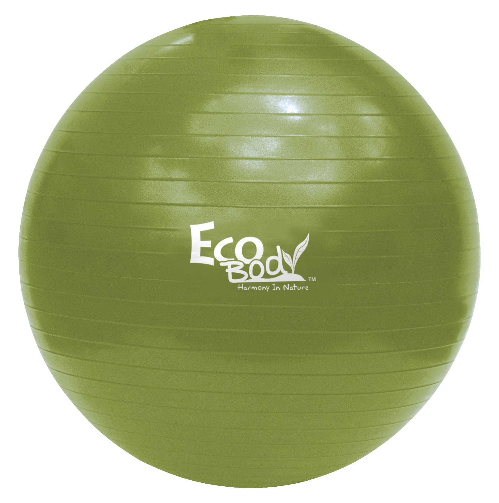 Eco Body Jumppapallo 65cm