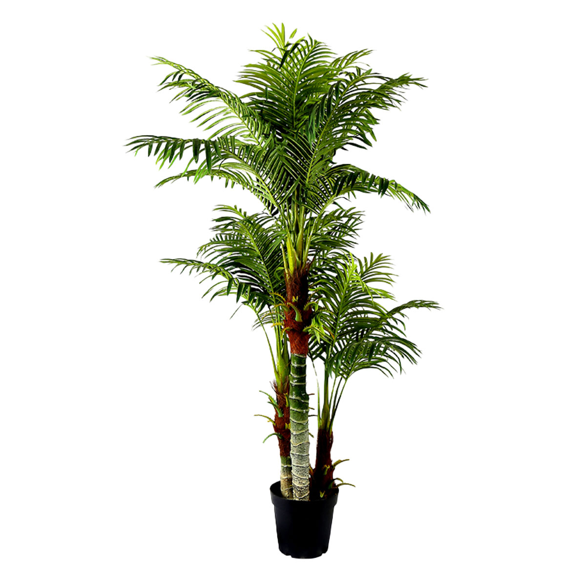 Lykke Tekokasvi Areca Palm 180cm