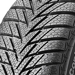 Continental ContiWinterContact TS 800 ( 125/80 R13 65Q )