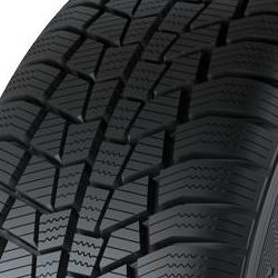 Gislaved Euro*Frost 6 ( 165/65 R14 79T )