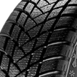 GT Radial Champiro Winterpro 2 ( 155/70 R13 75T )