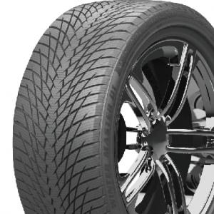 Greentrac Winter Master D1 225/55R17 101V XL Kitkarenkaat