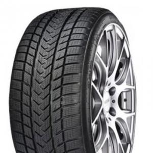 Gripmax Pro Winter 245/30R20 90V XL Kitkarenkaat