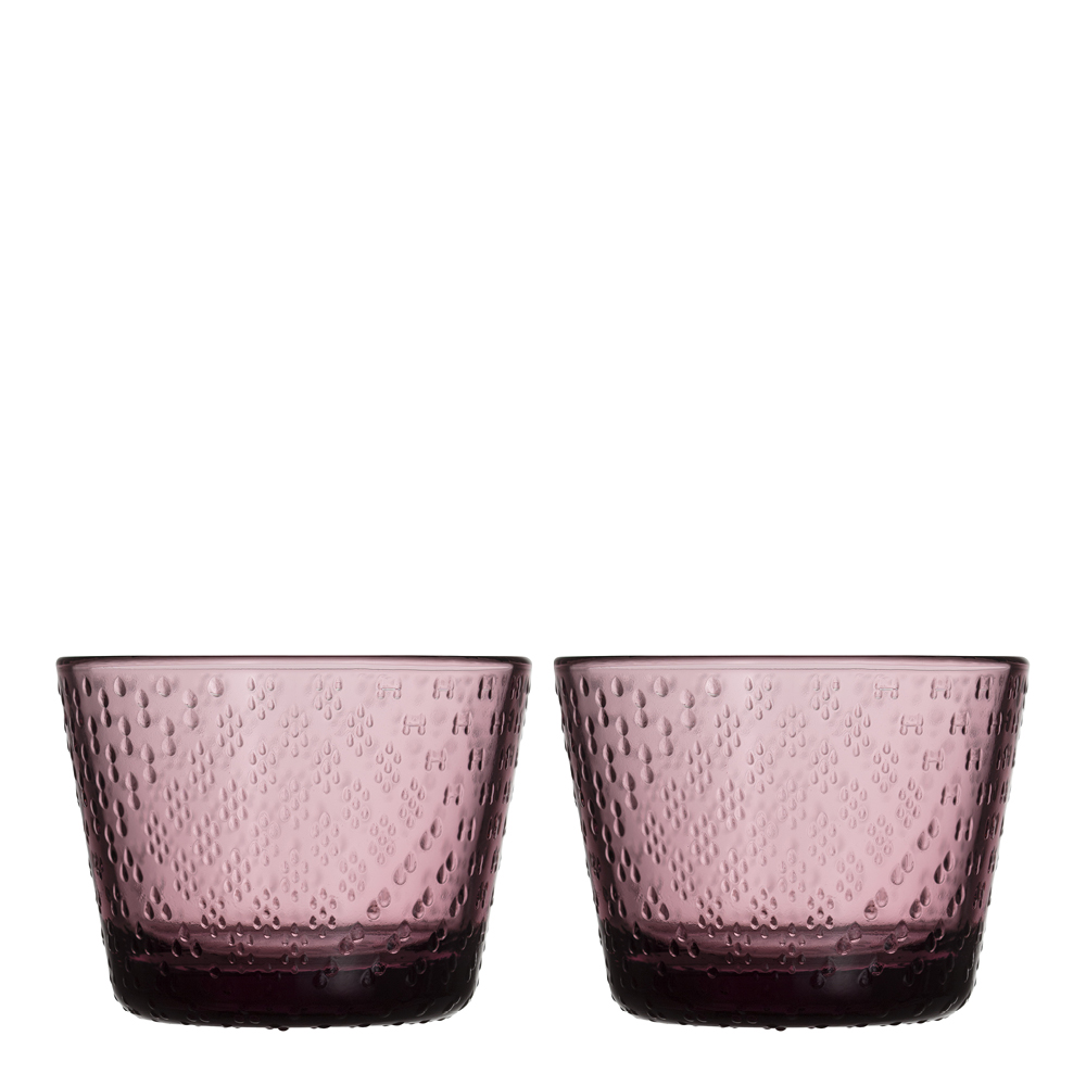 iittala - Tundra Lasi 16 cl 2 kpl Kanerva